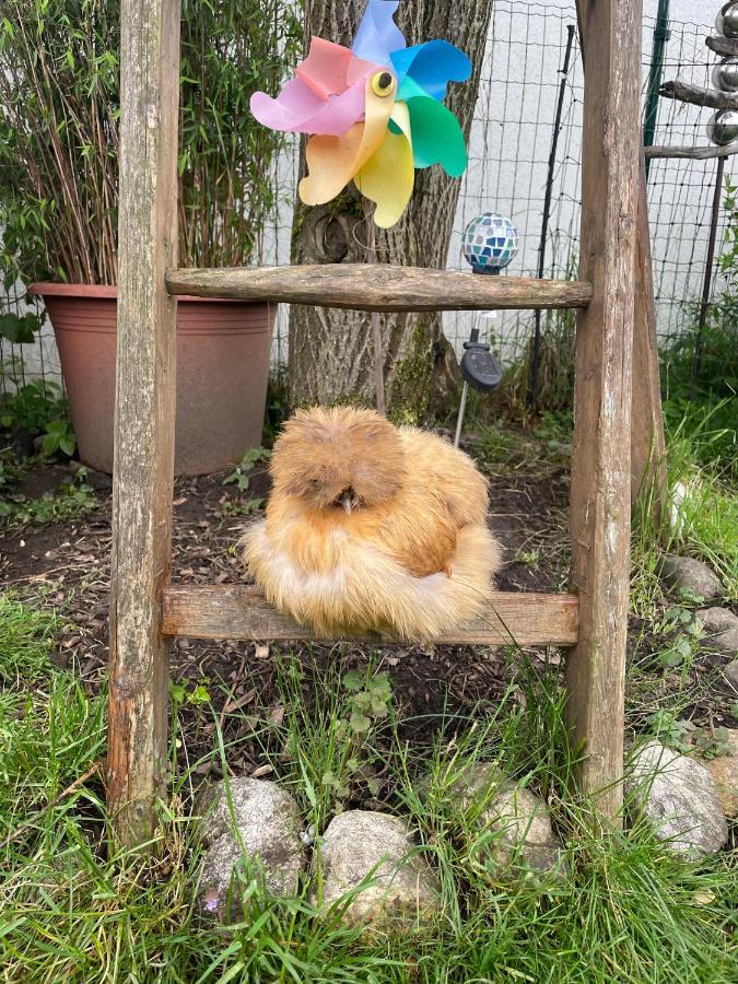 Ferienwohnung Seidenhuhn Kiefersfelden Kültér fotó