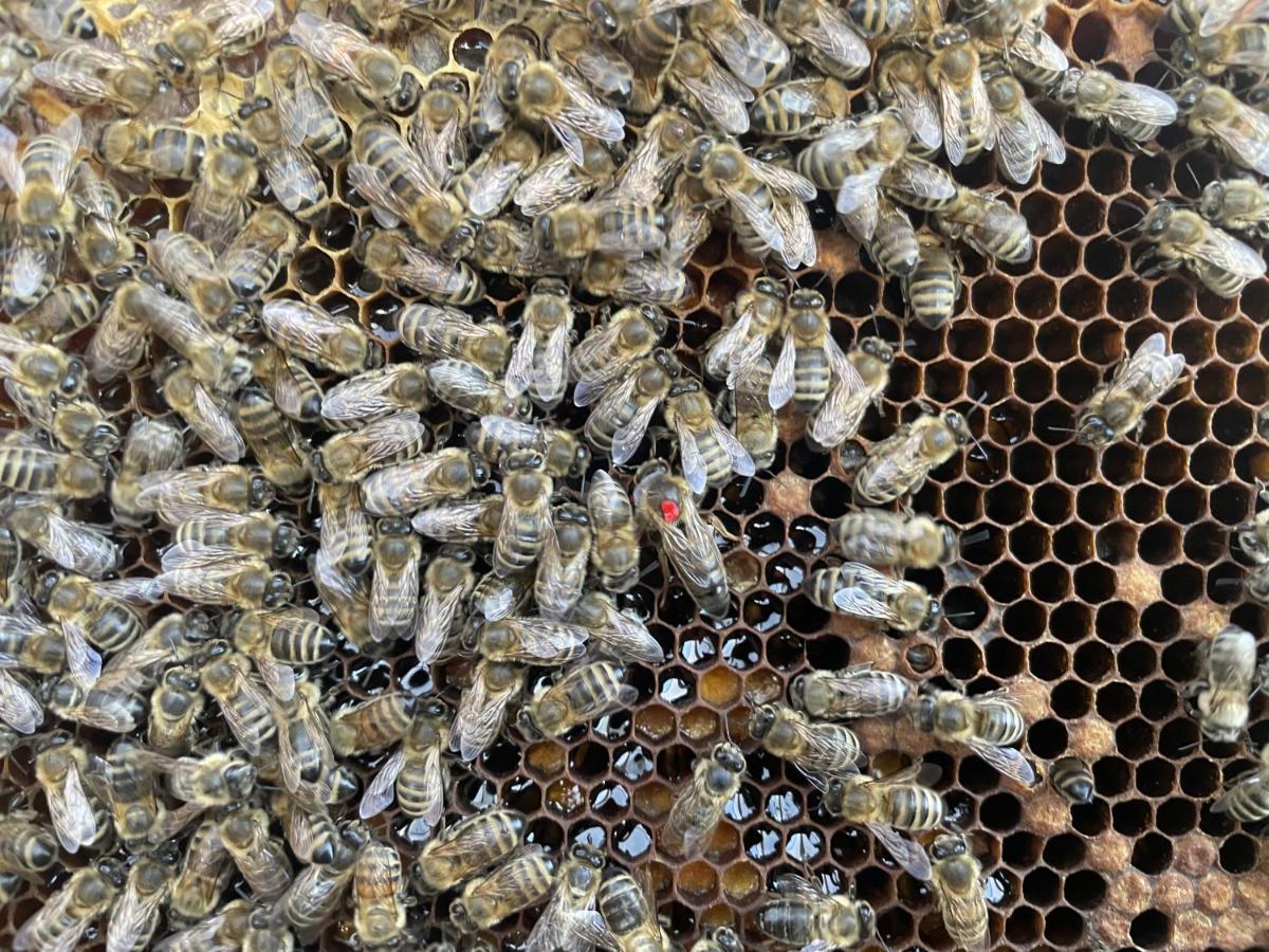 Ferienwohnung Seidenhuhn Kiefersfelden Kültér fotó