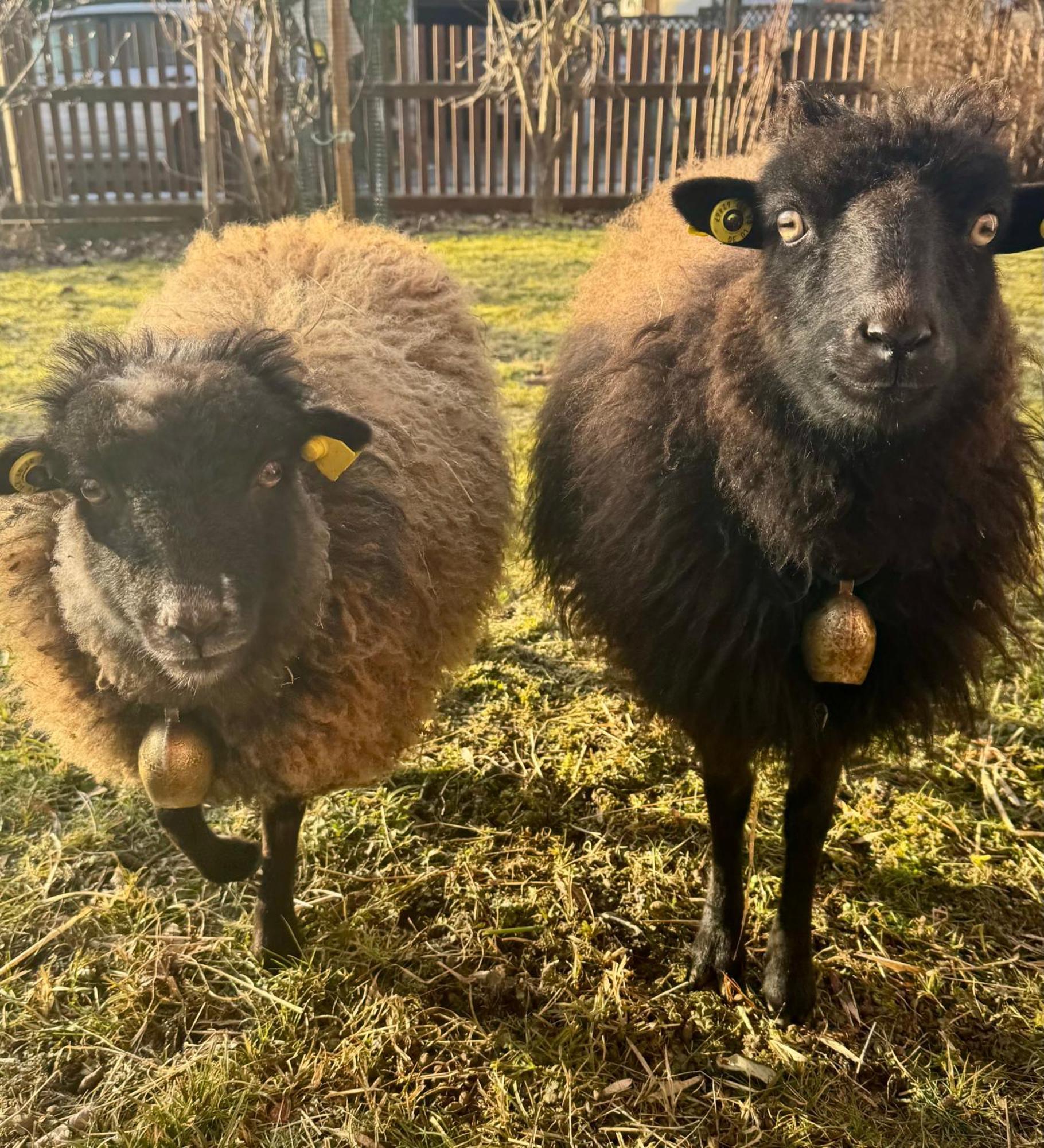 Ferienwohnung Seidenhuhn Kiefersfelden Kültér fotó